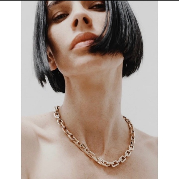 Eddie Borgo Supra Link Necklace & Earrings Set - Picture 8 of 9